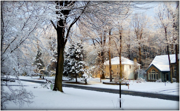 Winter scenery ( creative commons)
