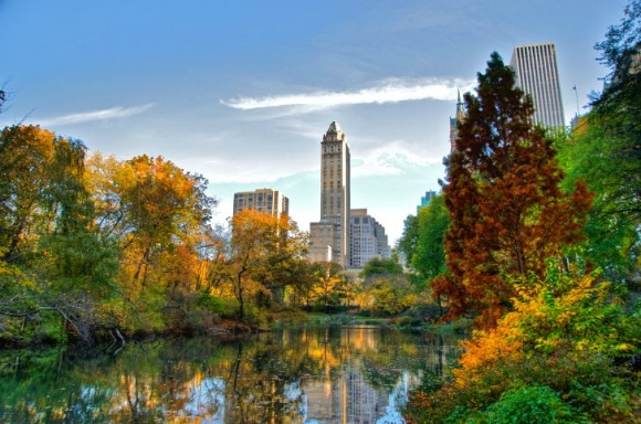 Central Park by Ed Yourdon (Creative Commons)